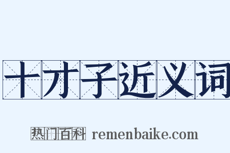 十才子近义词是什么意思的图片